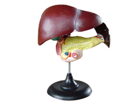 SD-093 33216����ʮ��֬�c�����Kģ��